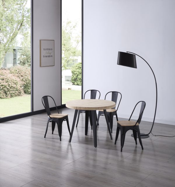Silla Comedor Tolix - Imagen 2