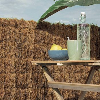 Seto Decorativo Natural Coco